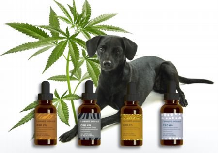 Cannabis Animals Cola nowe